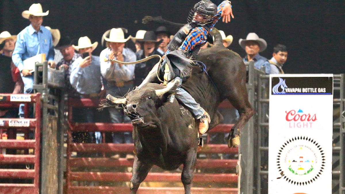 Queen Creek Rodeo