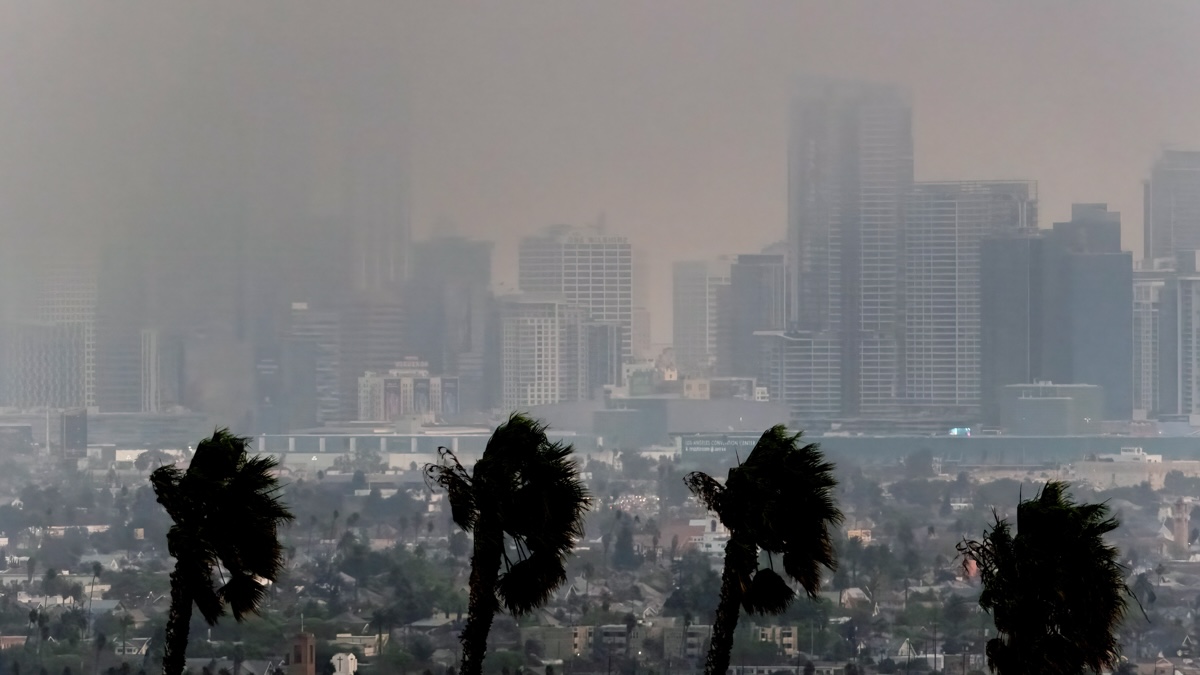 Los Angeles Wildfire